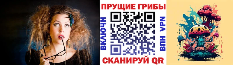 цены   Белокуриха  Псилоцибиновые грибы MAGIC MUSHROOMS 